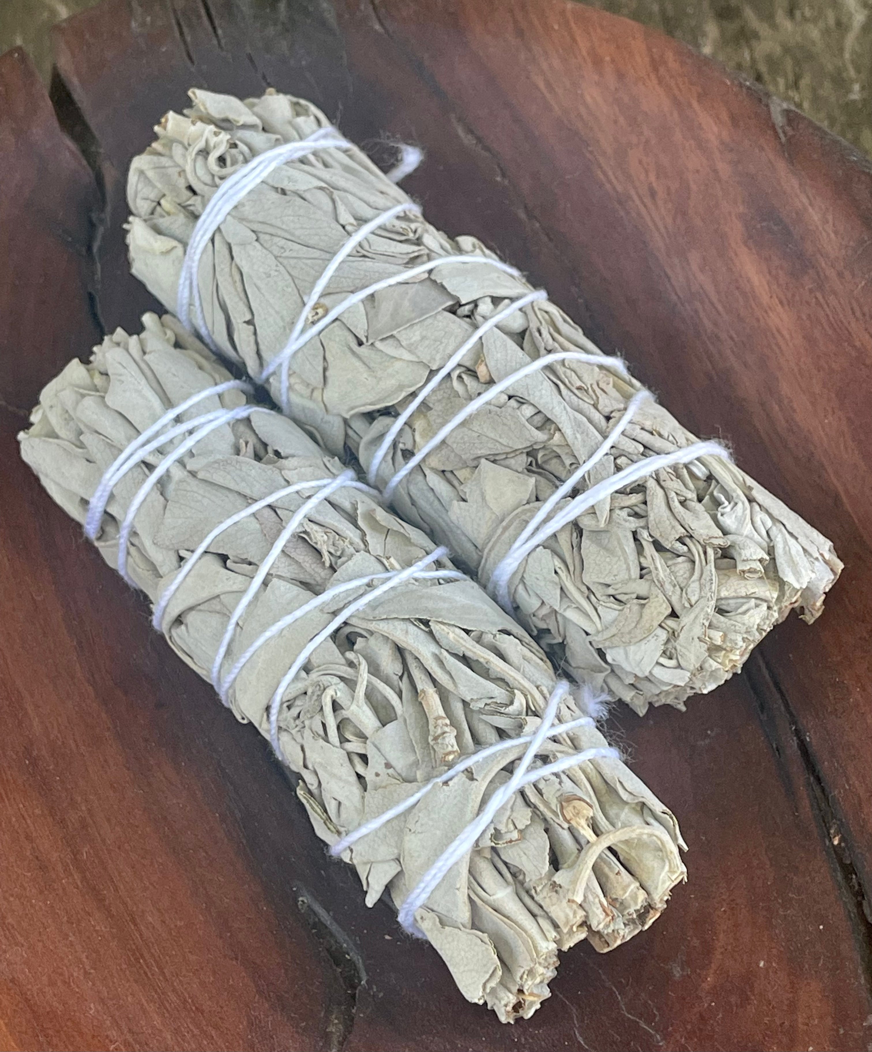 Sage - Smudging